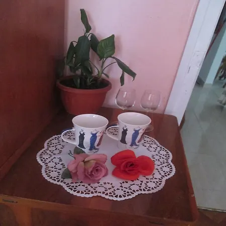 ゲストハウス Marija ザダル